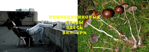 гидра Лабытнанги