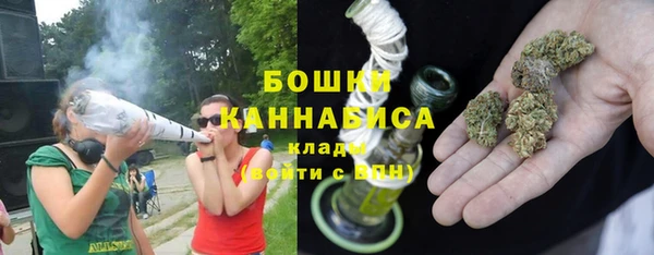 ешки Ладушкин