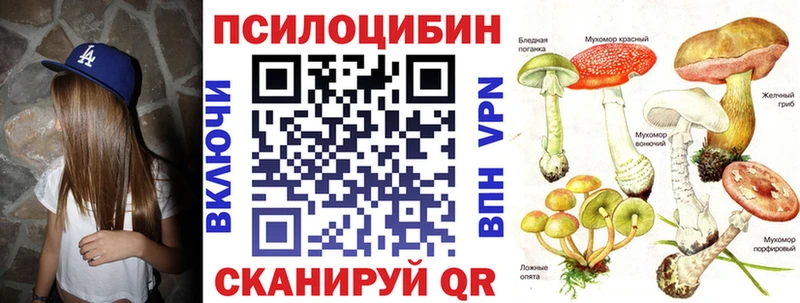 Купить  Нижний Ломов  Галлюциногенные грибы мицелий 